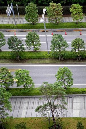 お買い得な未使用車が欲しい人へ