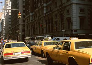 リーズナブルな合宿免許を新潟で見付ける