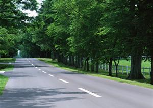 素早い車検と代車無料サービスを実施