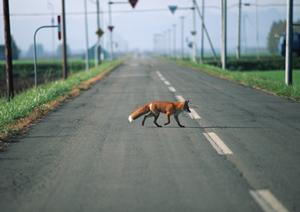「車検当日をスムーズに乗り切るための完全ガイド:必要な準備と注意点」