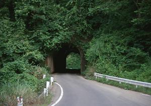 丁寧な対応で高く買取ってくれるいわきの中古車取扱店