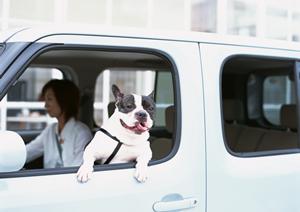 熊本では車検のコバックがおすすめ